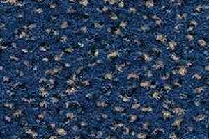 Ковролин Balsan Zenith Roll 158 фото  | FLOORDEALER